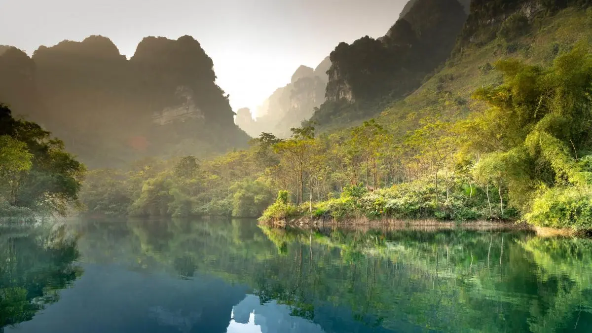 可靠性独特
